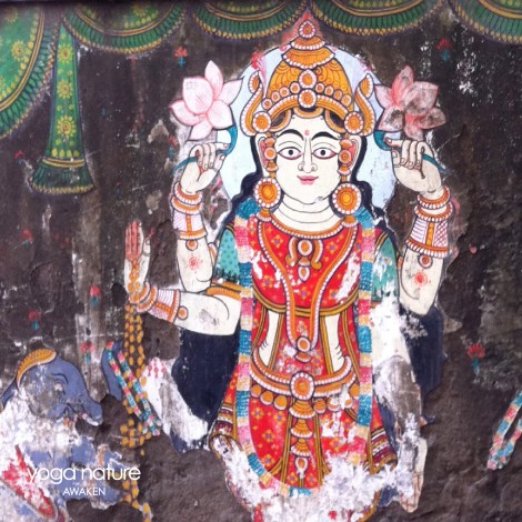 Yoga Nature_Lakshmi Devi