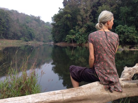 Mardi by jungle river_Kerala India 2014_small