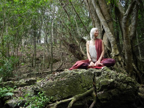 Mardi_Rock-Fig-2015_Colour