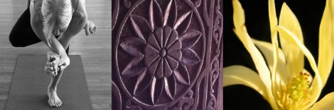 YN_Landing Page image_Experienced Yoga 2_200dpi