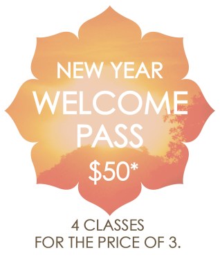 yn_welcome-pg-button_new-year-2017-wpass_200dpi-final