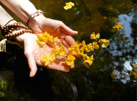 yn_spring-immersion-2016_offering-reflection_200dpi