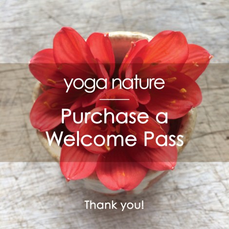 YN – Welcome Pass Main Image F