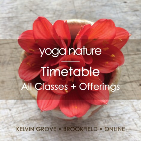 YN – Timetable – All Classes + Offerings - main graphic