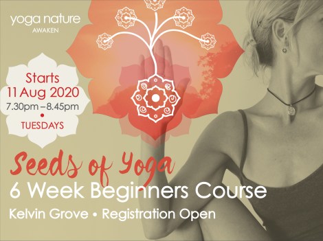 YN_Beginners Course Page Graphic_Aug 2020 F Final