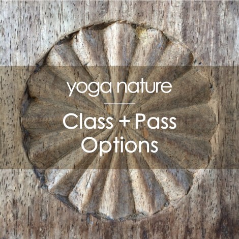 YN_Landing Page_Class + Pass Options Main image_200dpi